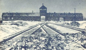 Auschwitz gate